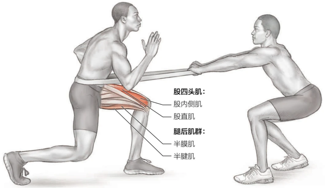 如何借助篮球榜样的力量提升团队协作能力_1