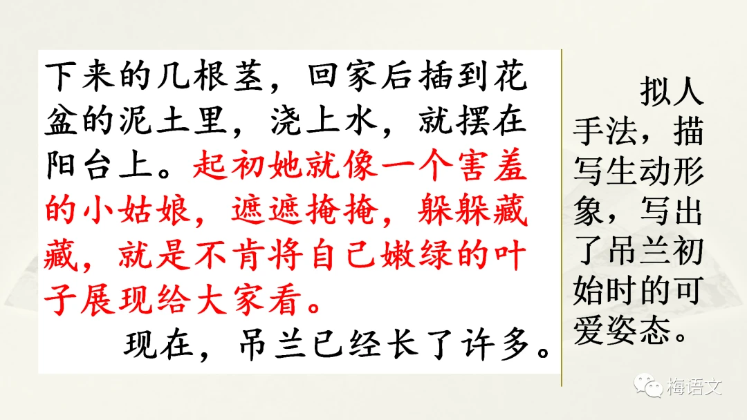 篮球训练营结课总结范文_0